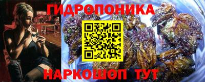 ешки Нальчик