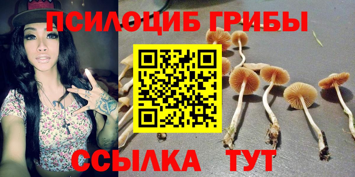 Верхняя Пышма  наркота  Вход с VPN  Галлюциногенные грибы прущие грибы 