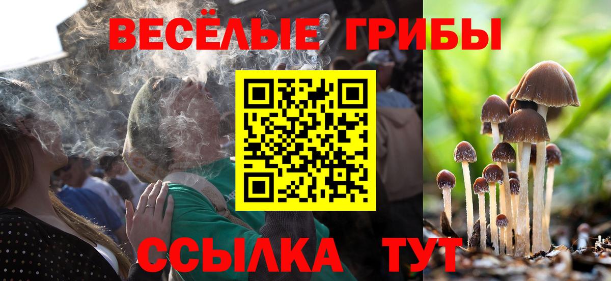 Псилоцибиновые грибы Cubensis Верхняя Пышма